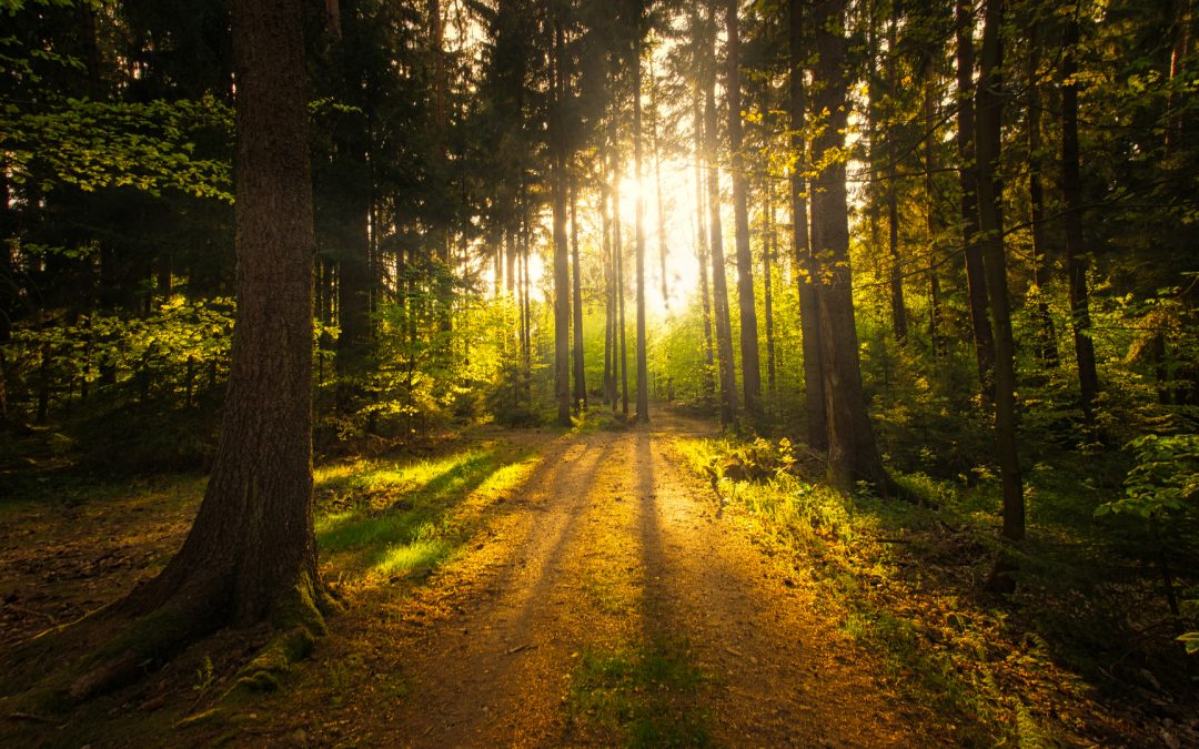 Natur erleben!